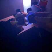 ヒメ日記 2026/04/28 11:09 投稿 ふうか G-SCANDAL