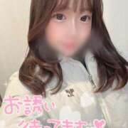 ヒメ日記 2026/02/20 16:37 投稿 くれは E+アイドルスクール　大阪・日本橋店