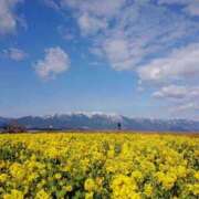 ヒメ日記 2026/03/12 16:31 投稿 柴田 華恋人(カレント)