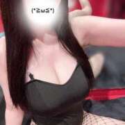 ノバラ 初めまして✨ バニーコレクション新潟店