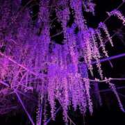 ヒメ日記 2026/05/02 22:30 投稿 ゆみ 人妻の秘密成田店