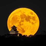 ヒメ日記 2026/05/08 22:20 投稿 ゆみ 人妻の秘密成田店