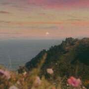 ヒメ日記 2026/03/05 11:01 投稿 高木れい 華椿