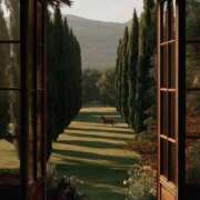 ヒメ日記 2026/03/17 23:46 投稿 高木れい 華椿