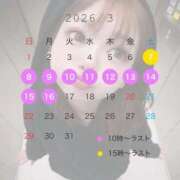 ヒメ日記 2026/02/21 15:31 投稿 ぽぽちゃん 男爵