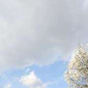 ヒメ日記 2026/03/24 17:44 投稿 すみれ 綺麗＆kirei