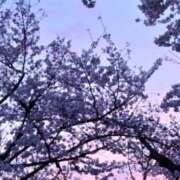 ヒメ日記 2026/04/02 00:11 投稿 すみれ 綺麗＆kirei