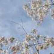 ヒメ日記 2026/04/10 17:47 投稿 すみれ 綺麗＆kirei