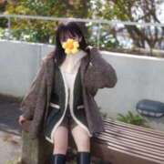 ヒメ日記 2026/03/21 23:50 投稿 みみ☆ 粋美　suibi