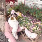 ヒメ日記 2026/03/23 23:45 投稿 みみ☆ 粋美　suibi