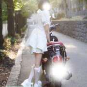 ヒメ日記 2026/04/13 08:56 投稿 みみ☆ 粋美　suibi