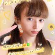 ヒメ日記 2026/05/17 08:30 投稿 みみ☆ 粋美　suibi