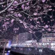 ヒメ日記 2026/03/21 17:00 投稿 ぼたん 角海老石亭