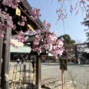 ヒメ日記 2026/03/23 13:00 投稿 ぼたん 角海老石亭