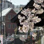 ヒメ日記 2026/03/23 15:00 投稿 ぼたん 角海老石亭