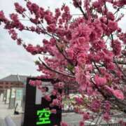 ヒメ日記 2026/03/28 15:00 投稿 ぼたん 角海老石亭