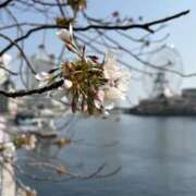 ヒメ日記 2026/03/29 18:00 投稿 ぼたん 角海老石亭