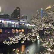 ヒメ日記 2026/04/02 08:58 投稿 ぼたん 角海老石亭