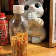 ヒメ日記 2026/04/03 19:30 投稿 ぼたん 角海老石亭