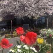 ヒメ日記 2026/04/04 07:00 投稿 ぼたん 角海老石亭