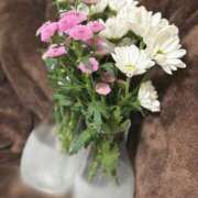 ヒメ日記 2026/04/15 09:00 投稿 ぼたん 角海老石亭