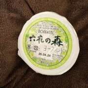 ヒメ日記 2026/04/15 15:00 投稿 ぼたん 角海老石亭
