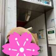 ヒメ日記 2026/04/16 07:00 投稿 ぼたん 角海老石亭