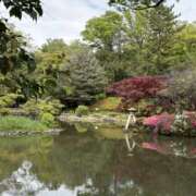 ヒメ日記 2026/04/16 08:33 投稿 ぼたん 角海老石亭