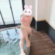 ヒメ日記 2026/04/16 13:00 投稿 ぼたん 角海老石亭