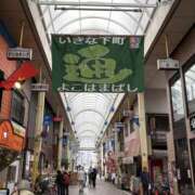 ヒメ日記 2026/04/30 08:54 投稿 ぼたん 角海老石亭