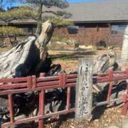 ヒメ日記 2026/02/23 15:15 投稿 にこる ニュー姫