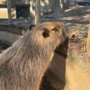 ヒメ日記 2026/02/25 17:17 投稿 にこる ニュー姫