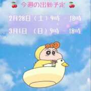 ヒメ日記 2026/02/24 11:44 投稿 すずか アラカルト