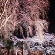 ヒメ日記 2026/04/11 12:03 投稿 ふみ 熟女の風俗最終章 新潟店