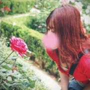 ヒメ日記 2026/02/28 23:46 投稿 えり ドンファン