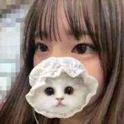 白戸まみ ふつかめ エステdeシンデレラ横浜（シンデレラグループ）