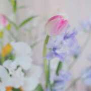 璃心(りこ) 初めまして♡ 可憐な妻たち 高崎店