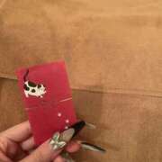 ヒメ日記 2026/03/04 12:37 投稿 るりか 金瓶梅(きんぺいぱい)(雄琴)