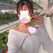 ヒメ日記 2026/02/19 01:48 投稿 横山みみ ウルトラロイヤル