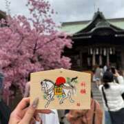 ヒメ日記 2026/02/24 15:56 投稿 横山みみ ウルトラロイヤル