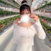 ヒメ日記 2026/02/25 15:23 投稿 横山みみ ウルトラロイヤル