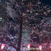 ヒメ日記 2026/03/28 17:28 投稿 横山みみ ウルトラロイヤル