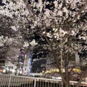 ヒメ日記 2026/04/03 16:58 投稿 横山みみ ウルトラロイヤル