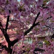 ヒメ日記 2026/04/03 15:16 投稿 みほ 制服これくしょん