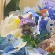 ヒメ日記 2026/04/28 08:41 投稿 いのり プレミアム(福原)