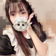 ヒメ日記 2026/02/23 17:00 投稿 しずく アリスカフェ