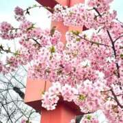 ヒメ日記 2026/03/13 21:24 投稿 真木 鶯谷人妻城