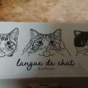 ヒメ日記 2026/03/25 23:20 投稿 真木 鶯谷人妻城