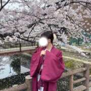 ヒメ日記 2026/04/08 14:48 投稿 エルサ 京都回春性感マッサージ倶楽部