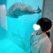 エルサ 🩶4/8.9🩶 京都回春性感マッサージ倶楽部